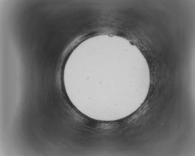 X0000112170341200909181418