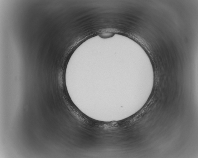 X0000112170345200909181418