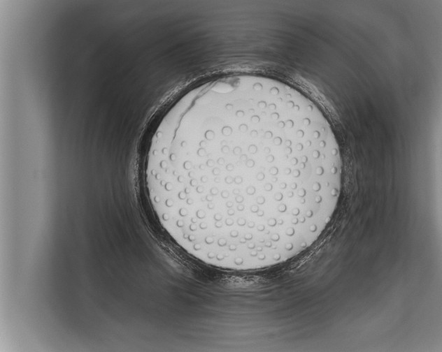 X0000112170346200909181418