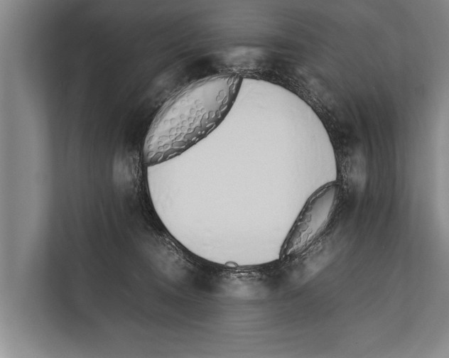 X0000112170372200909181418