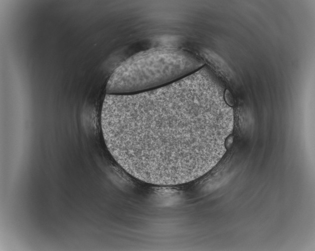 X0000112170380200909181418