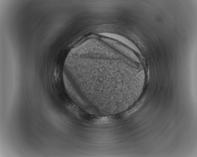 X0000112170382200909181418