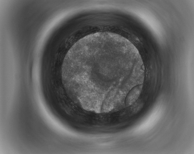 X0000112170383200909181418