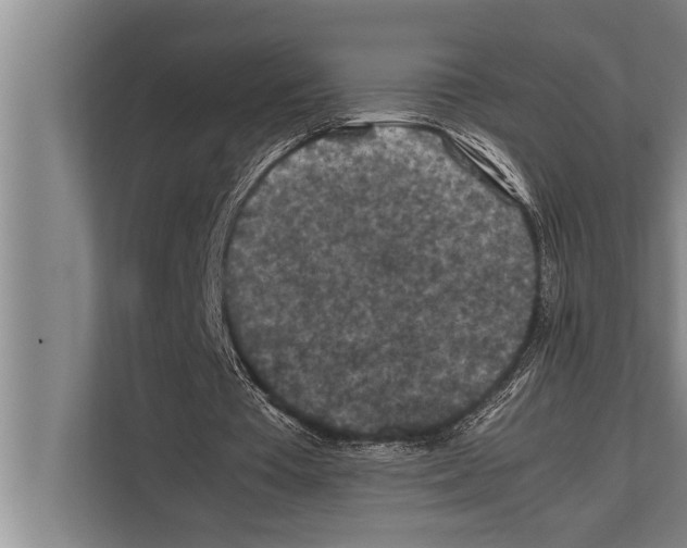 X0000112170385200909181418