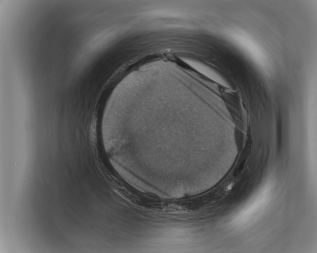 X0000112170387200909181418