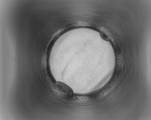 X0000112170395200909181417