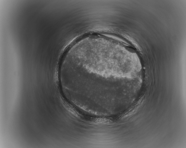 X0000112170399200909181417