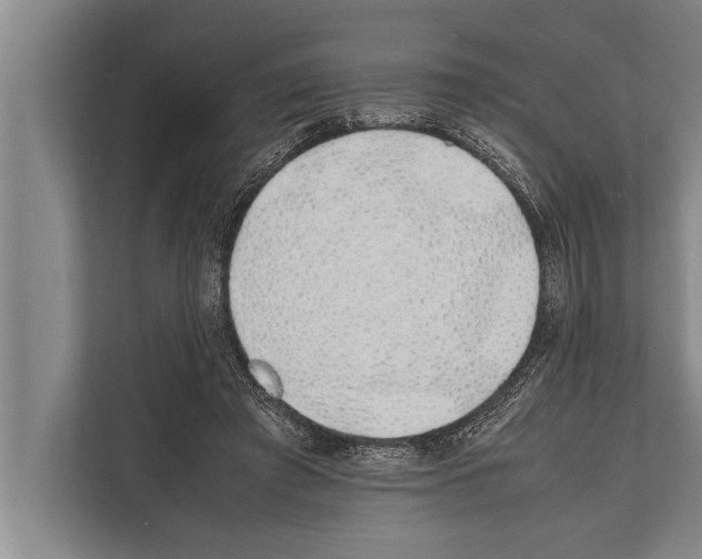 X0000112170401200909181417