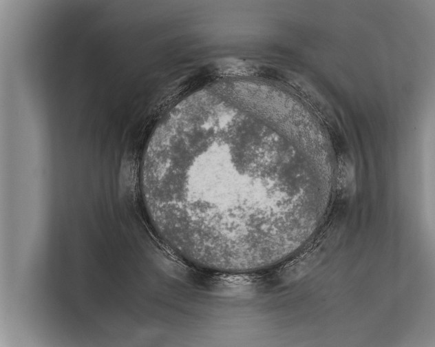 X0000112170409200909181417