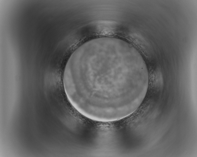 X0000112170415200909181417