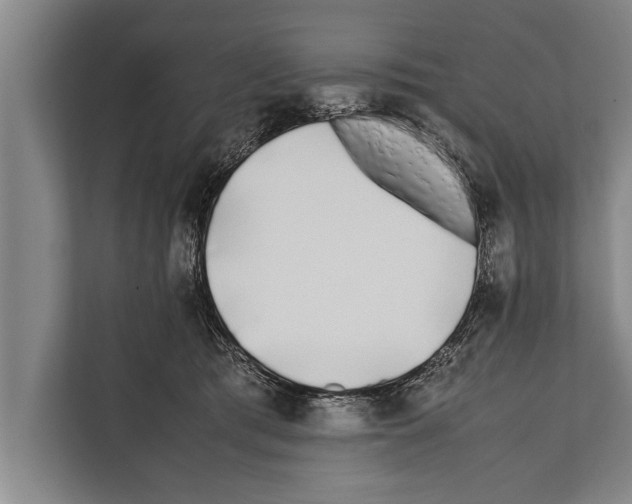 X0000112170417200909181417