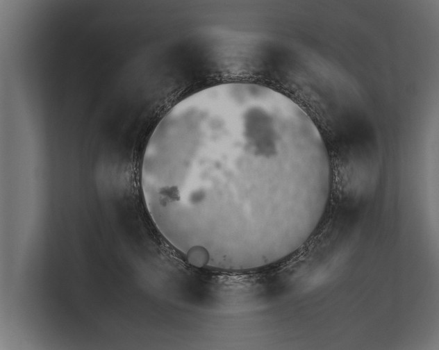 X0000112170419200909181417