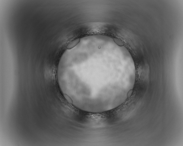 X0000112170423200909181417