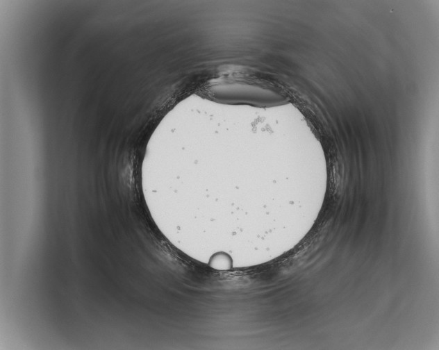 X0000112170424200909181417