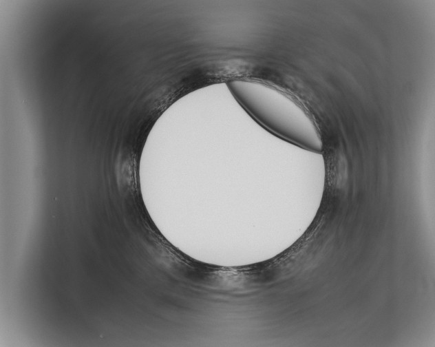 X0000112170425200909181417