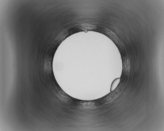 X0000112170426200909181417