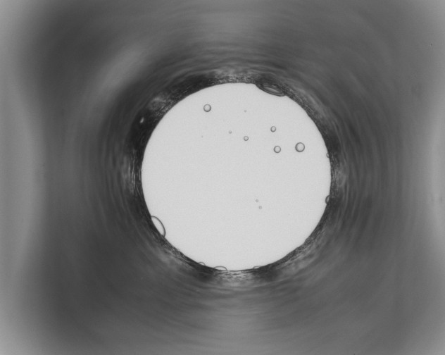 X0000112170429200909181417