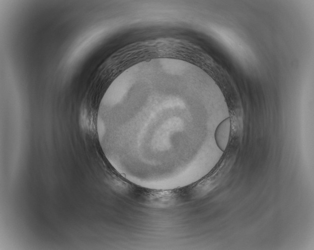 X0000112170431200909181417