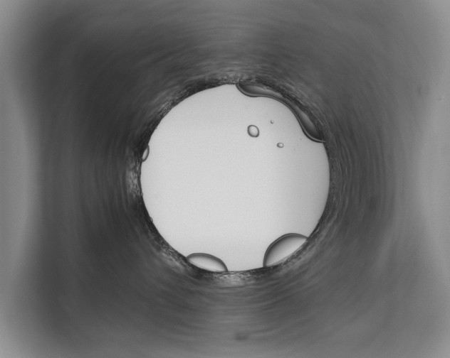 X0000112170432200909181417