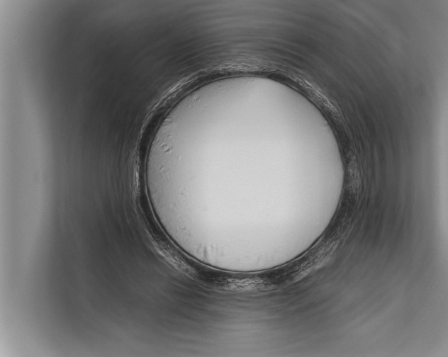 X0000112170446200909181416