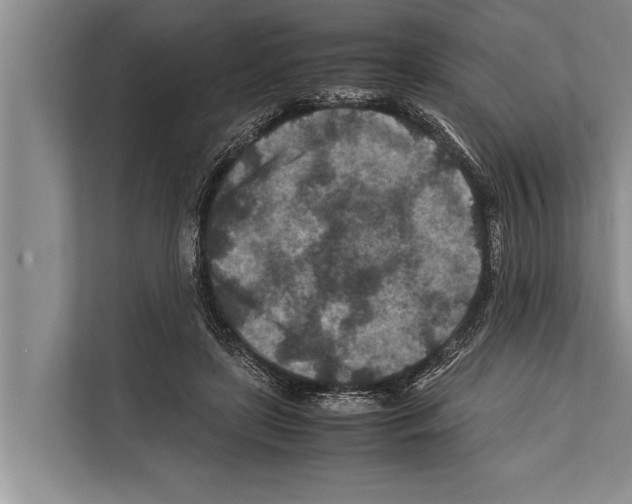 X0000112170451200909181417