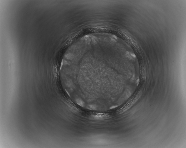 X0000112170467200909181417