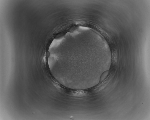 X0000112170475200909181417