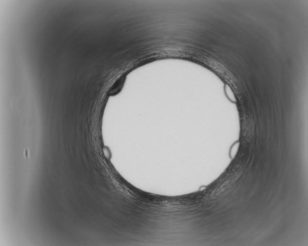 X0000112170481200909181416