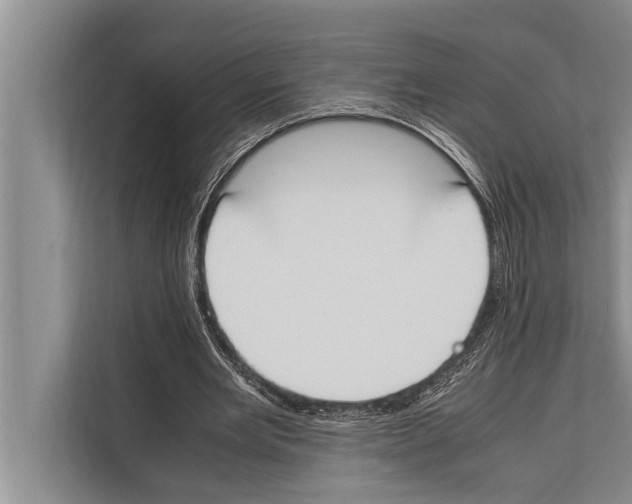 X0000112170485200909181416