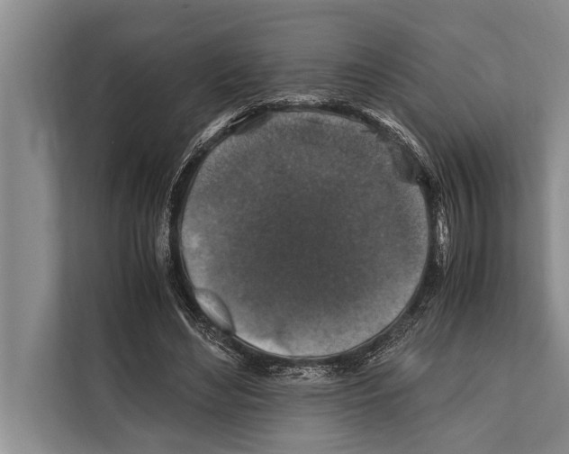 X0000112170492200909181416