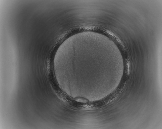 X0000112170496200909181416