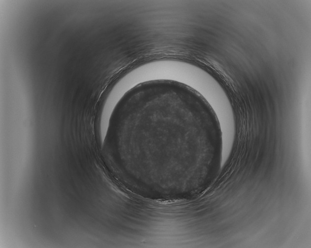 X0000112170500200909181416