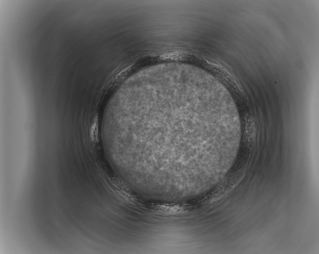 X0000112170502200909181416