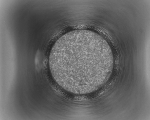 X0000112170503200909181416