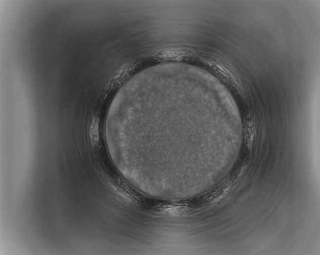 X0000112170504200909181416