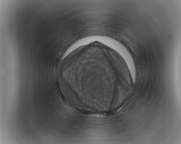 X0000112170512200909181416