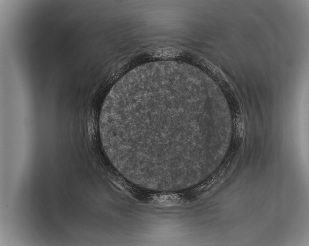 X0000112170517200909181416