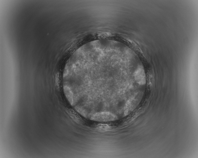 X0000112170519200909181416