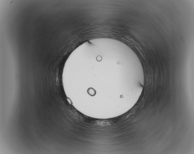 X0000112170520200909181416