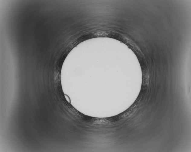 X0000112170521200909181416