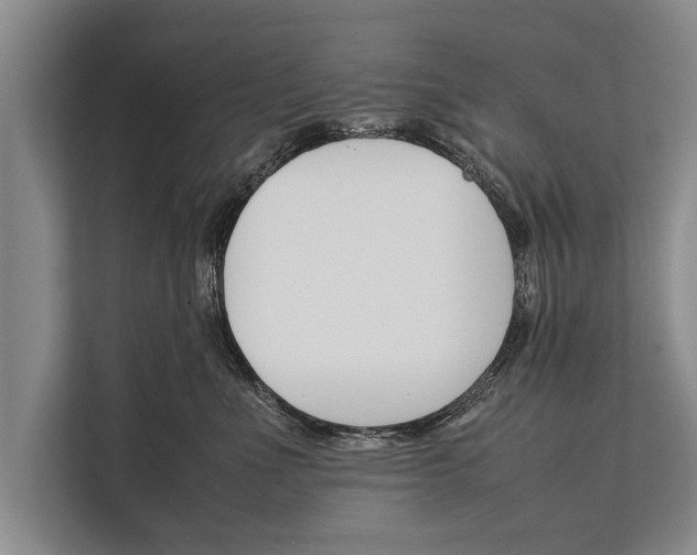 X0000112170523200909181416