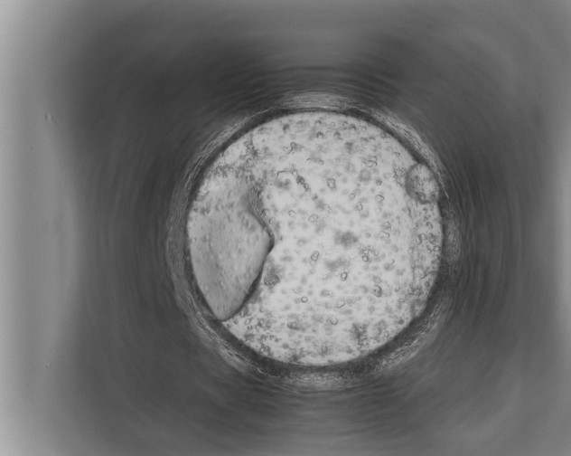 X0000112170529200909181415