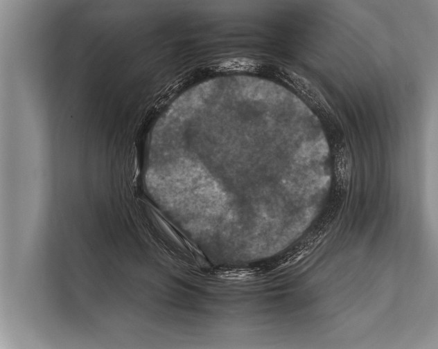 X0000112170551200909181415