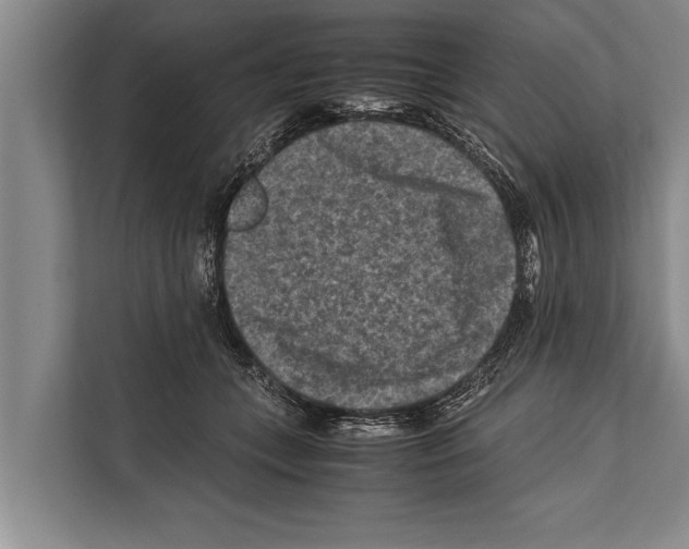 X0000112170559200909181415