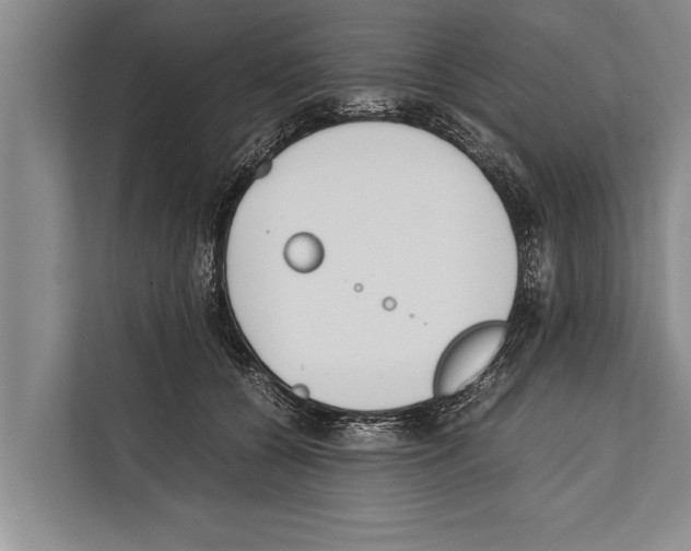 X0000112170560200909181415