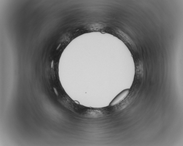 X0000112170572200909181415