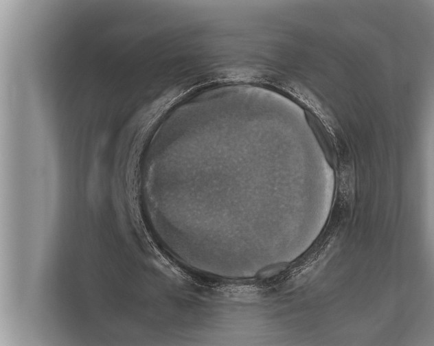 X0000112170577200909181415