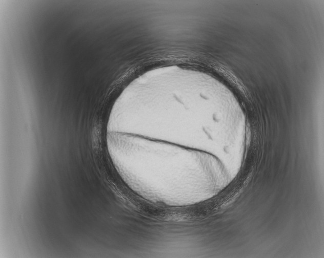 X0000112170585200909181415