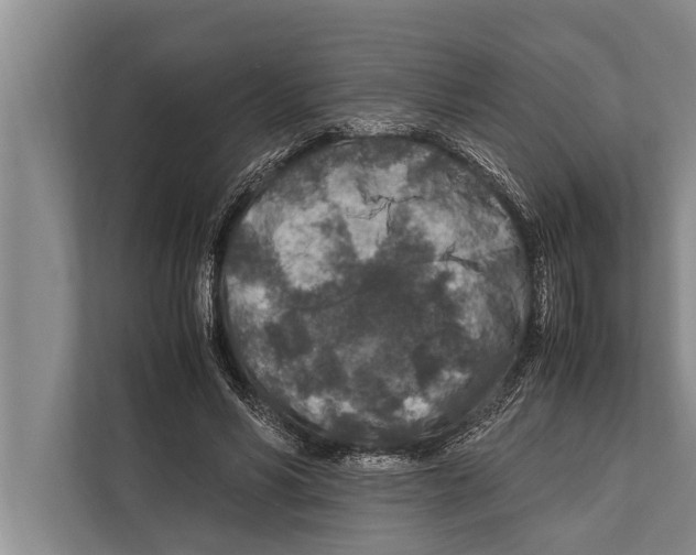 X0000112170590200909181415