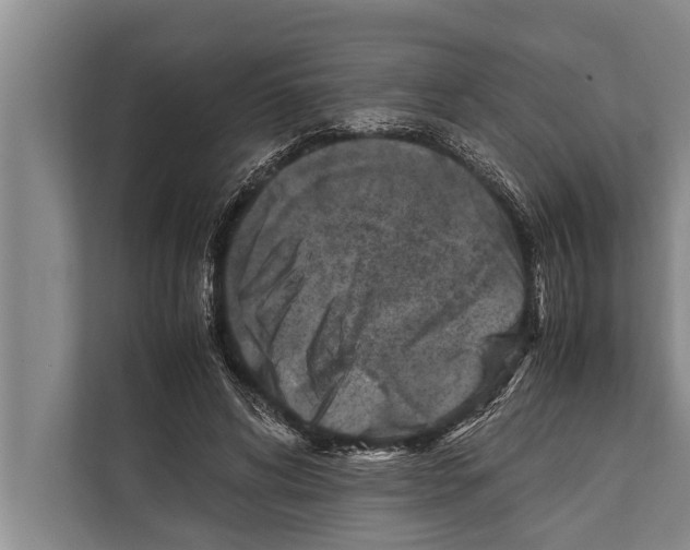 X0000112170592200909181415